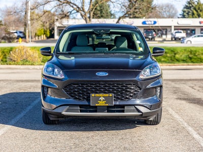 2020 Ford Escape Hybrid SE FHEV