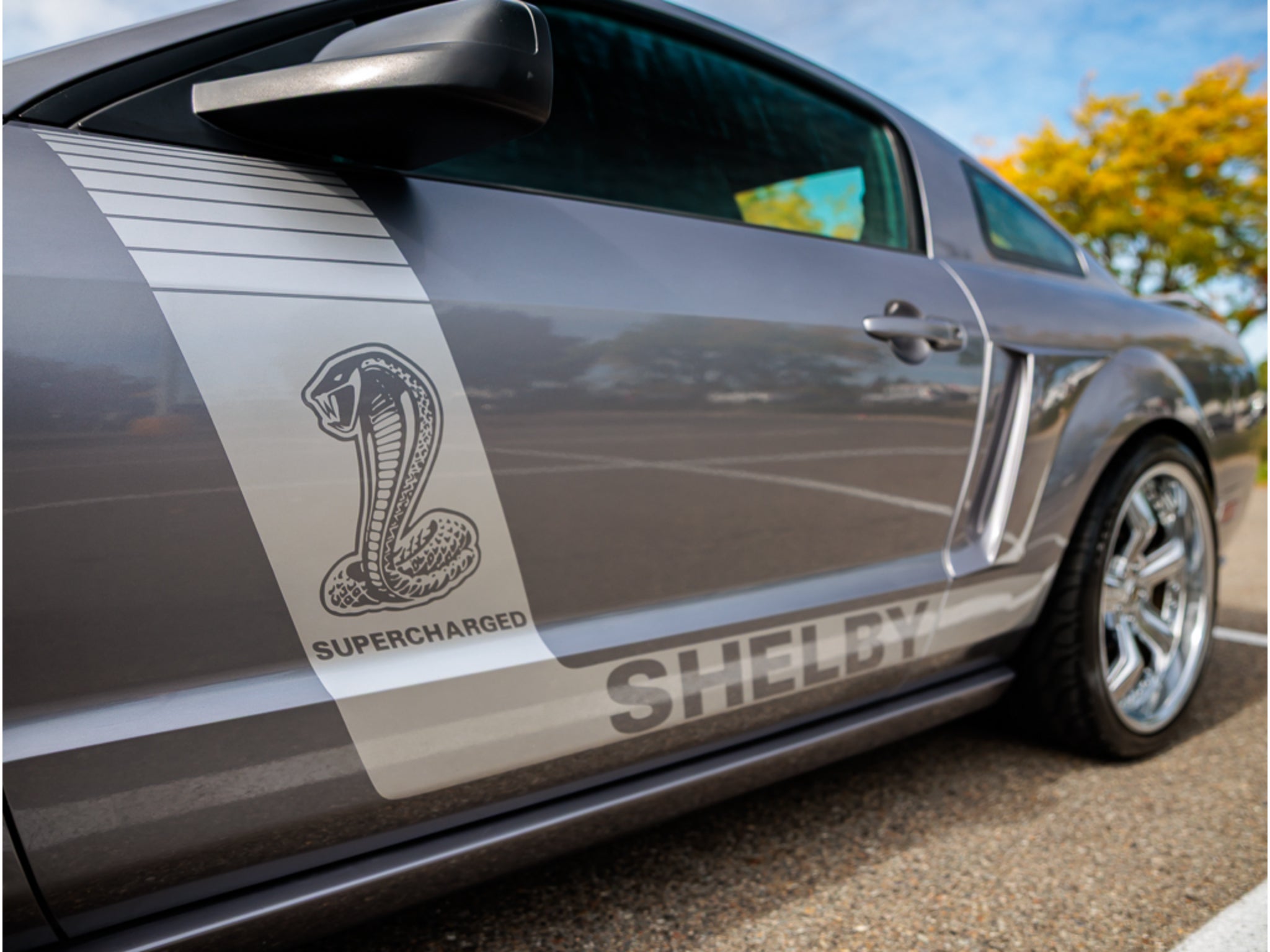 2007 Ford Mustang Base