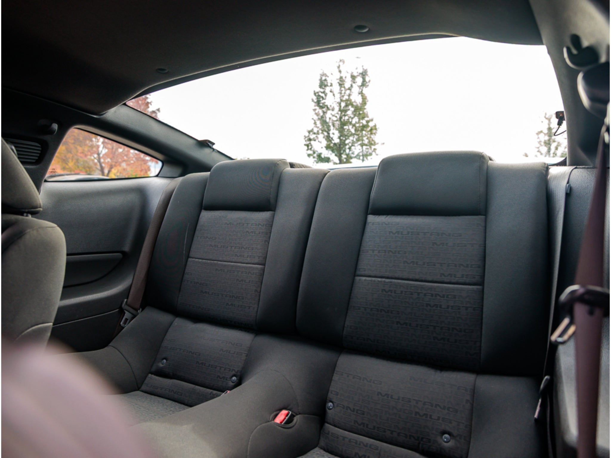 2007 Ford Mustang Base