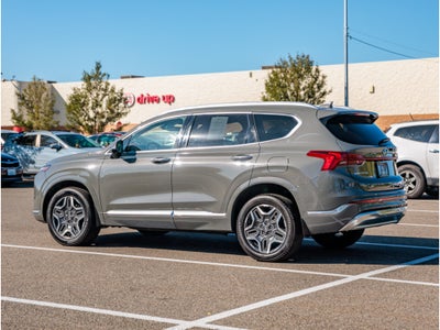 2021 Hyundai Santa Fe Calligraphy