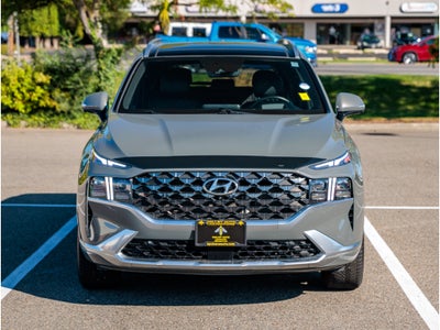 2021 Hyundai Santa Fe Calligraphy